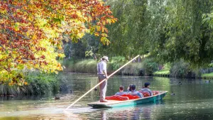 Punting on the Avon
